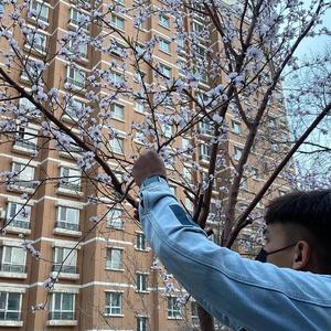 侧厕间谍投拍视频大全
